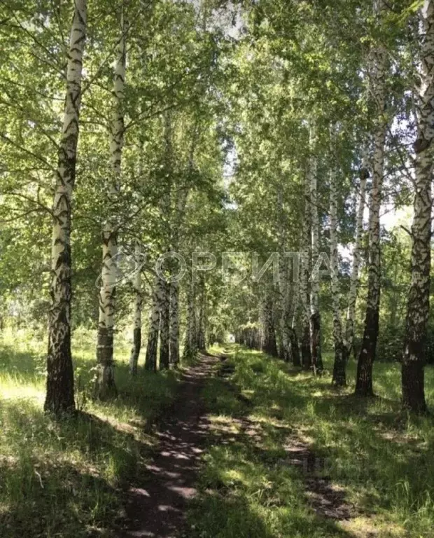 Участок в Тюменская область, Нижнетавдинский муниципальный округ, ... - Фото 1
