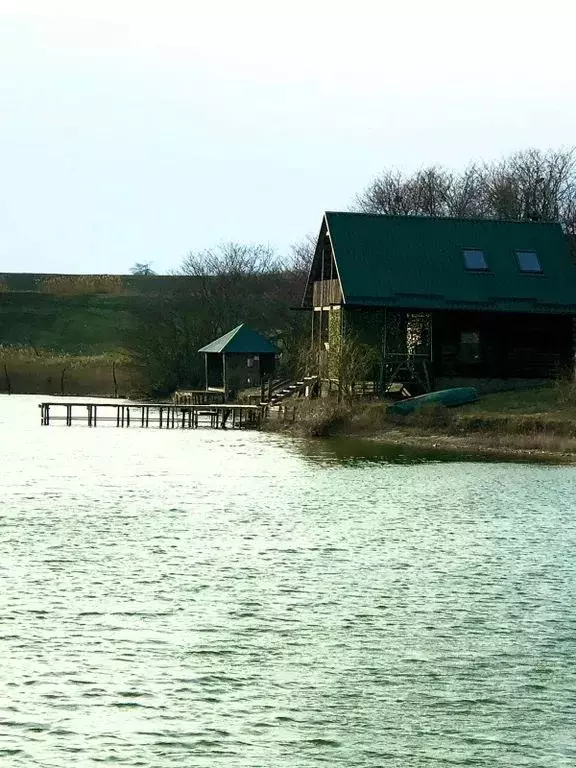 Дом в Ставропольский край, Железноводск городской округ, пос. ... - Фото 1