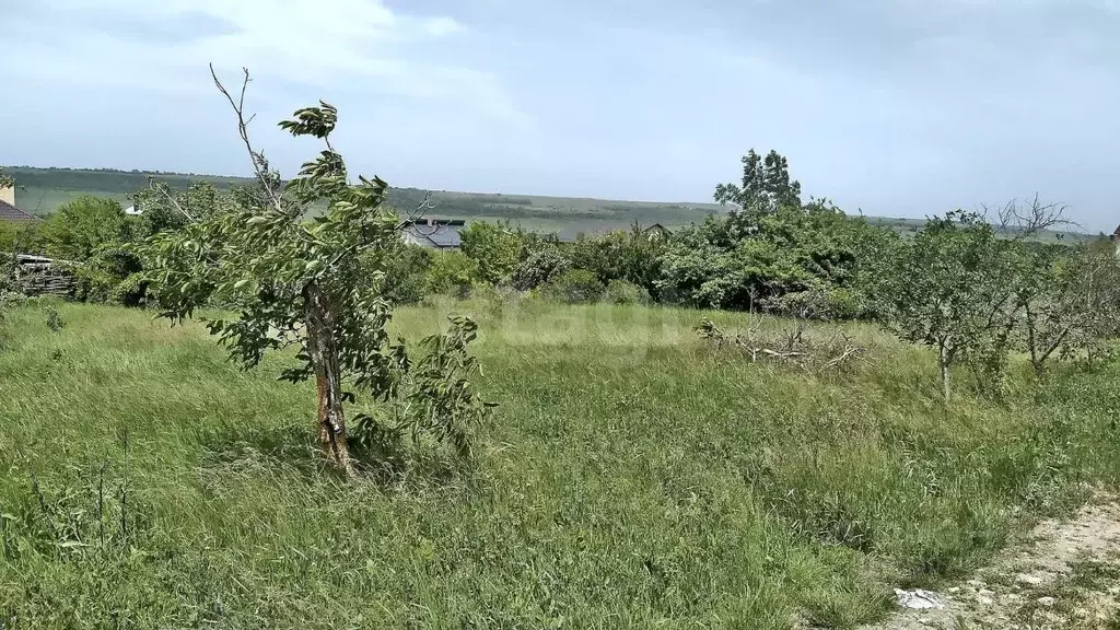 Участок в Ставропольский край, Ставрополь Механизатор-2 садовое ... - Фото 2