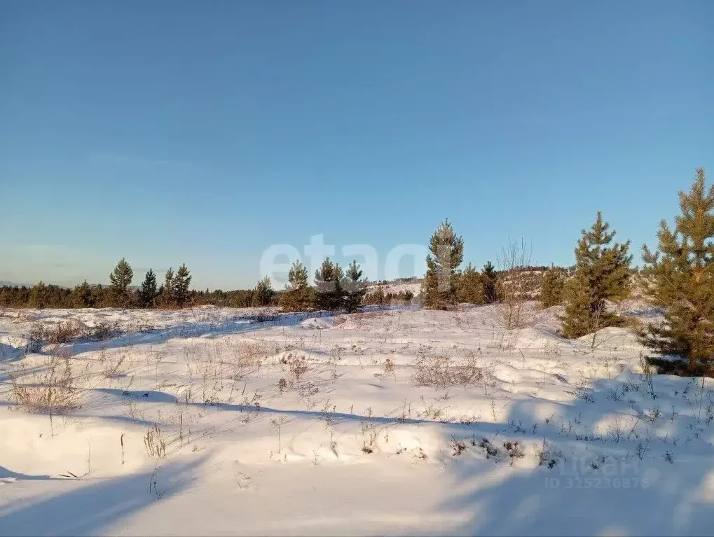 Участок в Бурятия, Тарбагатайский район, Саянтуйское с/пос, с. Нижний ... - Фото 1