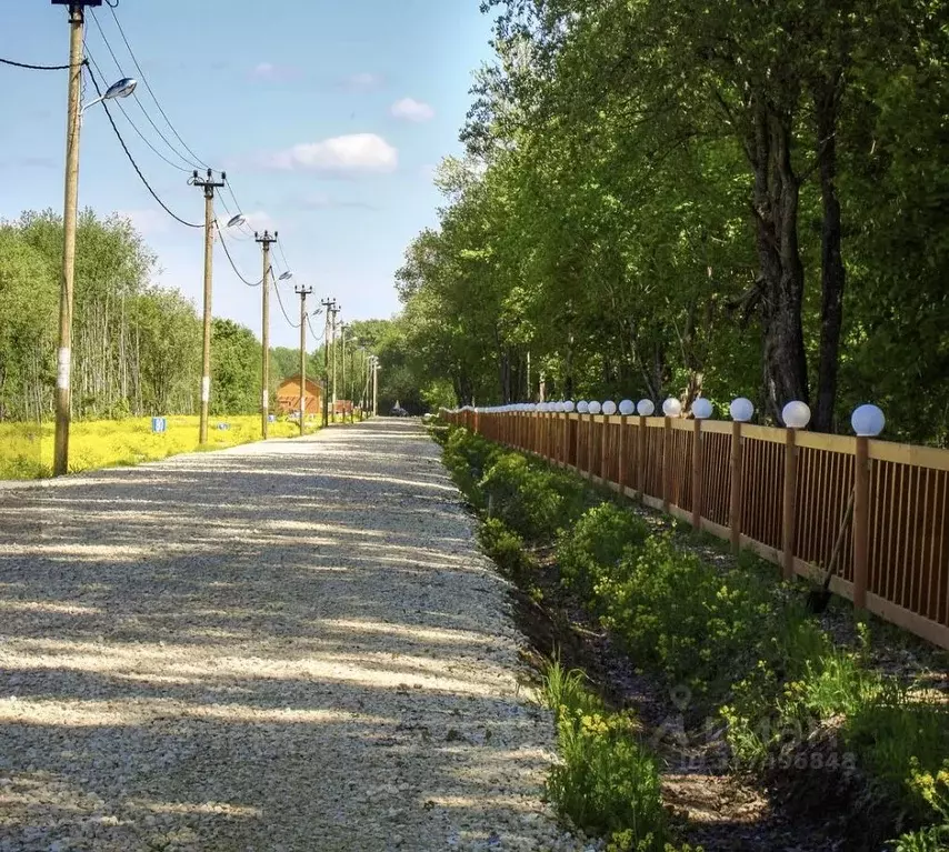 Участок в Ленинградская область, Ломоносовский район, Лопухинское ... - Фото 1