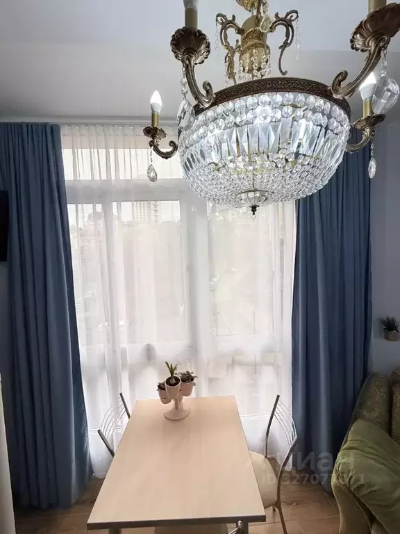 2-к кв. Краснодарский край, Сочи Виноградная ул., 121/6 (35.0 м) - Фото 2