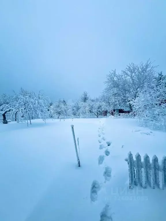 Участок в Владимирская область, Селивановский муниципальный округ, ... - Фото 1