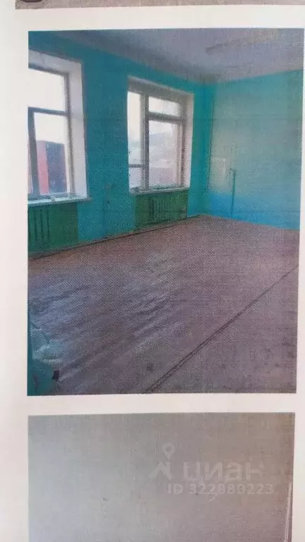 Помещение свободного назначения в Липецкая область, Чаплыгин ул. ... - Фото 1