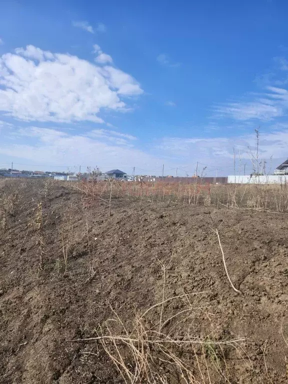 Участок в Ростовская область, Аксайский район, Мишкинская ст-ца ул. ... - Фото 1