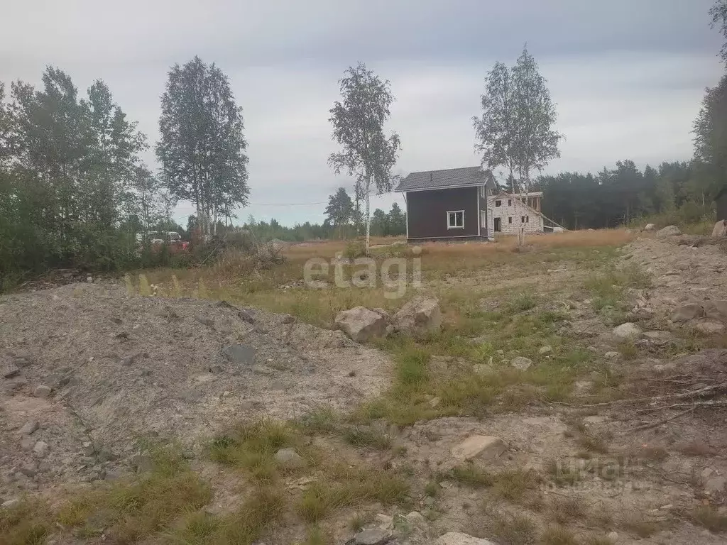 участок в карелия, прионежский район, с. заозерье ул. звездная (12.0 . - Фото 1