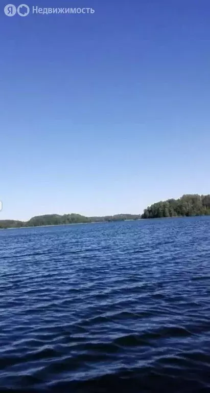 Участок в Пустошкинский район, Забельская волость, деревня Анушиха (16 ... - Фото 1