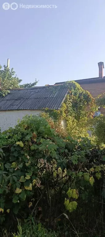 Участок в Воронеж, СНТ Дружба, Тверская улица, 170 (6.7 м) - Фото 0