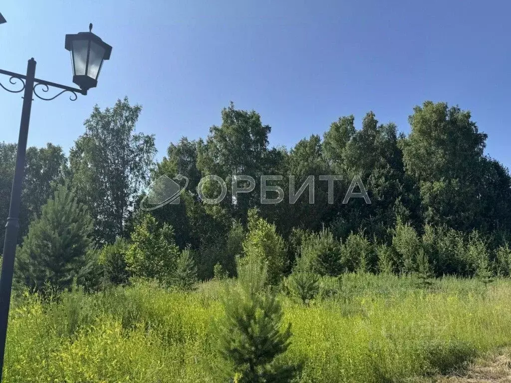 Участок в Тюменская область, Тюменский муниципальный округ, ... - Фото 1