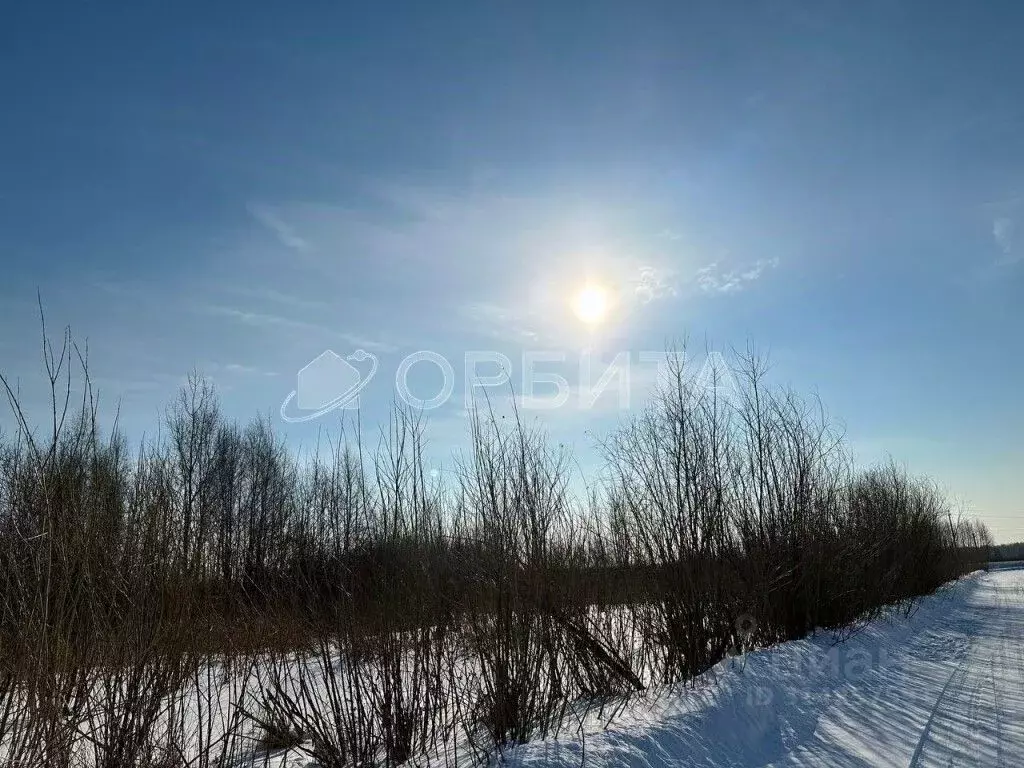 Участок в Тюменская область, Тюменский район, д. Пышминка Молодежная ... - Фото 1