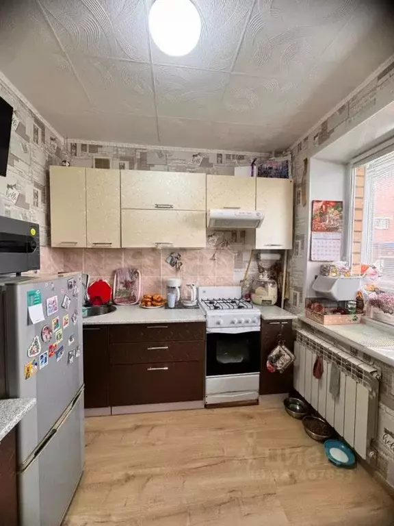 1-к кв. Курганская область, Шадринск ул. Чапаева, 48к4 (30.5 м) - Фото 0