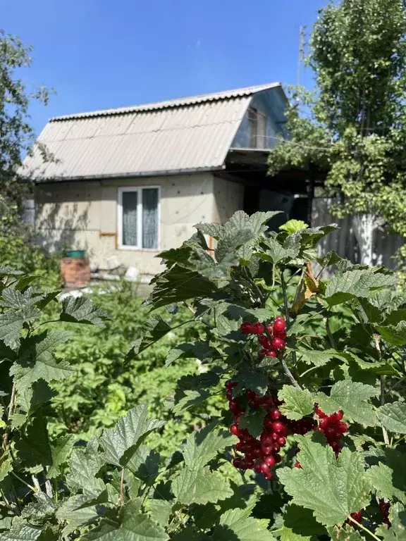 Дом в Челябинская область, Челябинск Хлебосад СНТ, ул. 4-я Садовая (21 ... - Фото 0