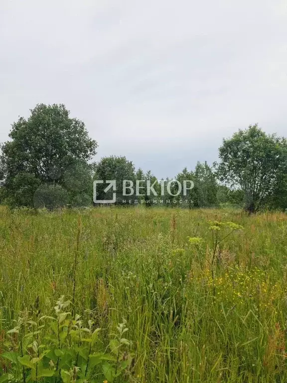 Участок 9,5 сот. (ИЖС) - Фото 1