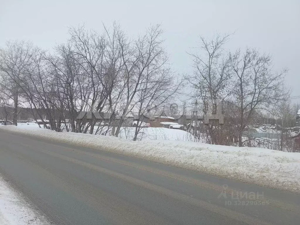 Участок в Новосибирская область, Новосибирск Буревестник садовое ... - Фото 2