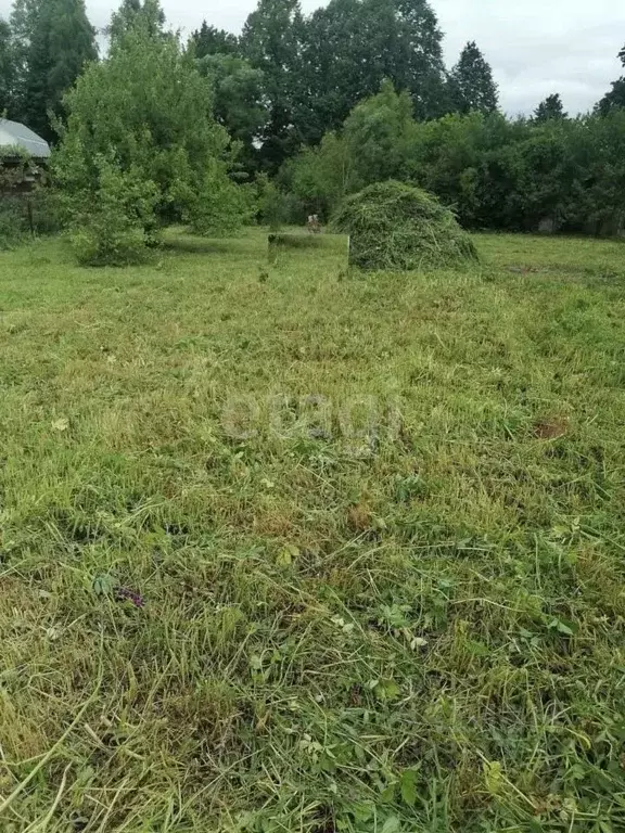 Участок в Калужская область, Ферзиковский район, Бебелевский ... - Фото 2