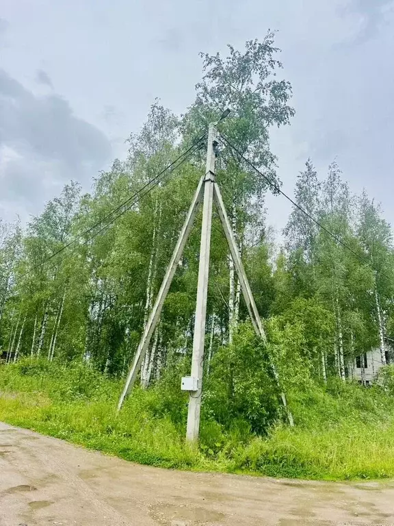 Участок 8 сот. (СНТ, ДНП) - Фото 1