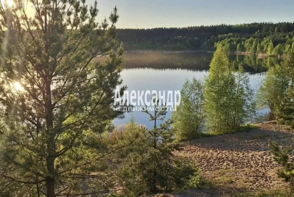 Участок в городской посёлок Рябово, Восточная улица, 37А (13 м) - Фото 1