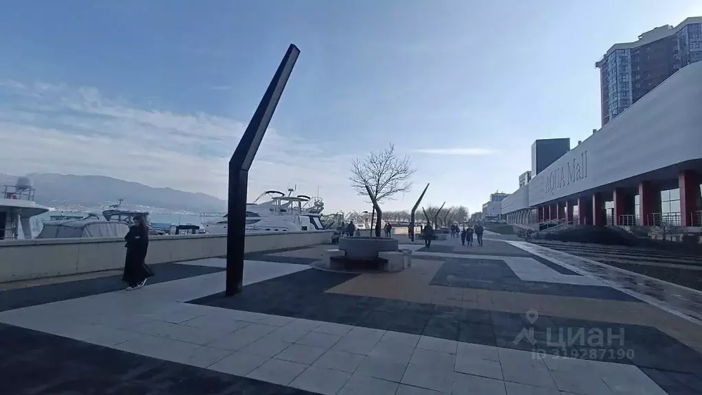 Помещение свободного назначения в Краснодарский край, Новороссийск ... - Фото 0