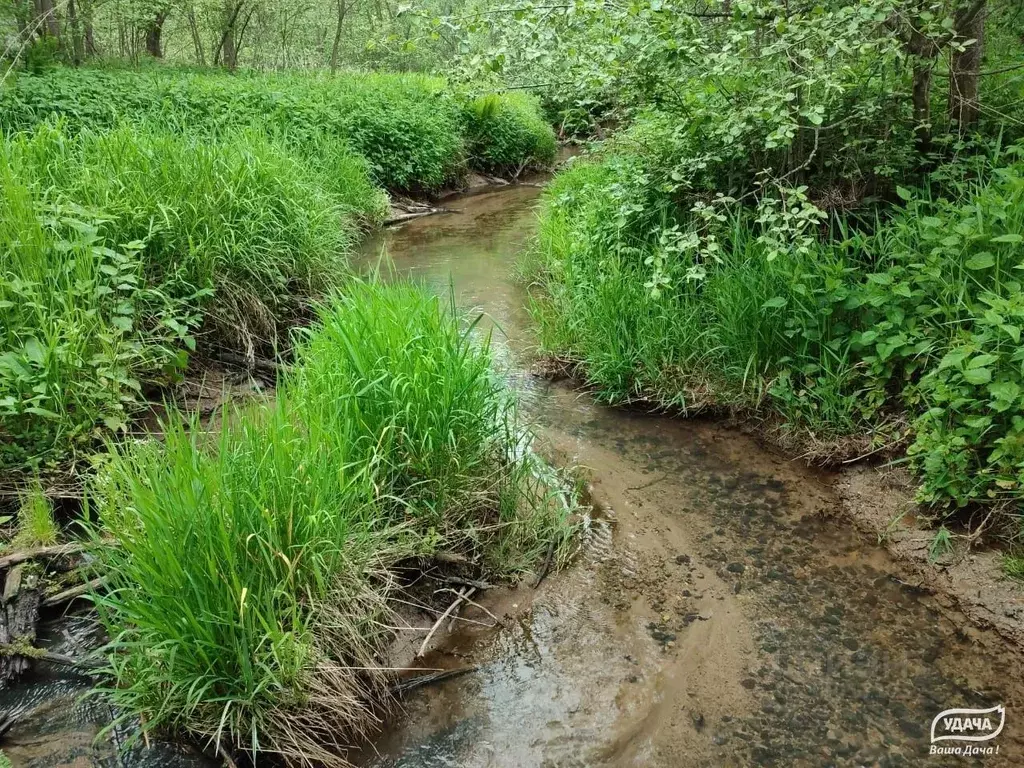 Участок в Московская область, Дмитровский муниципальный округ, д. ... - Фото 1