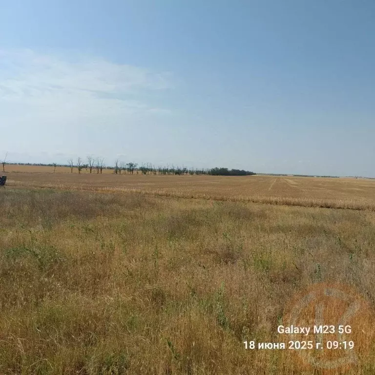 Участок в Крым, Черноморский район, с. Новоивановка  (6.24 сот.) - Фото 1