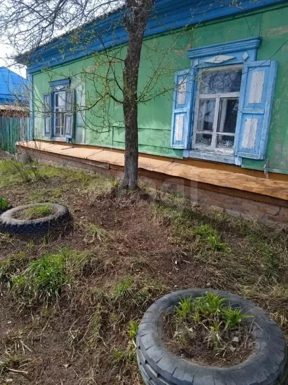 Дом в Омская область, Саргатский район, д. Увальная Бития Береговая ... - Фото 0