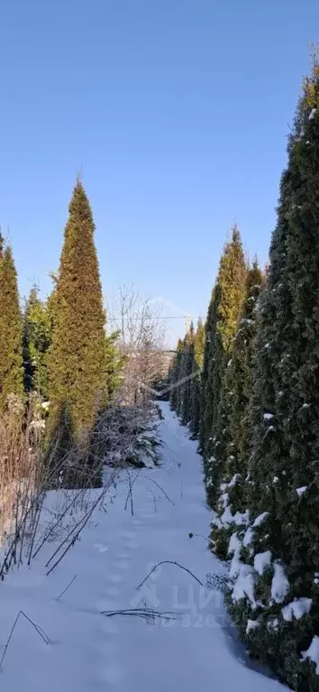Участок в Калининградская область, Гурьевский муниципальный округ, ... - Фото 2