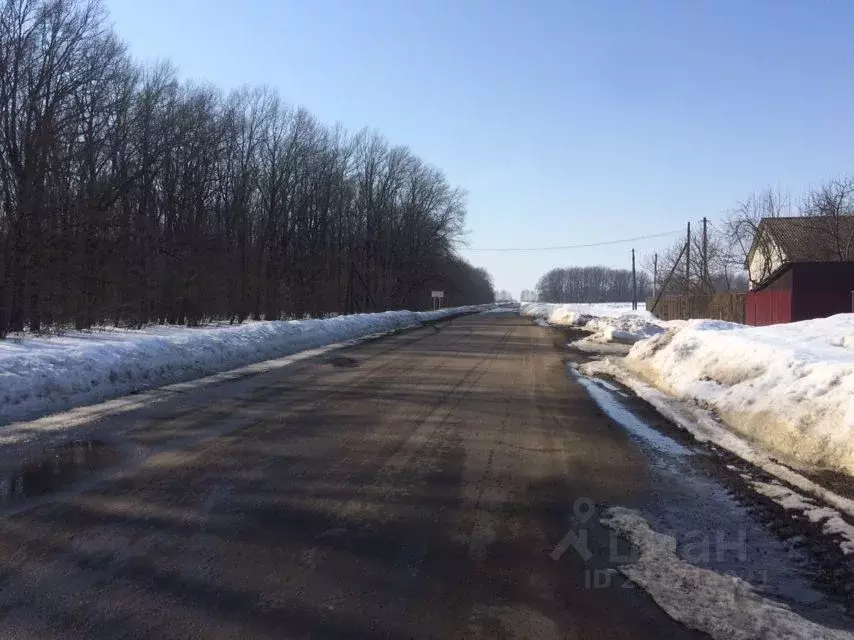 2-к кв. Тамбовская область, Мичуринский муниципальный округ, с. ... - Фото 2