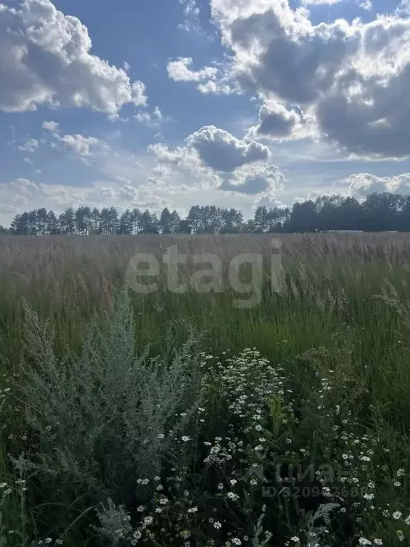 Участок в Мордовия, Лямбирский район, с. Атемар Рабочая ул. (15.0 ... - Фото 2