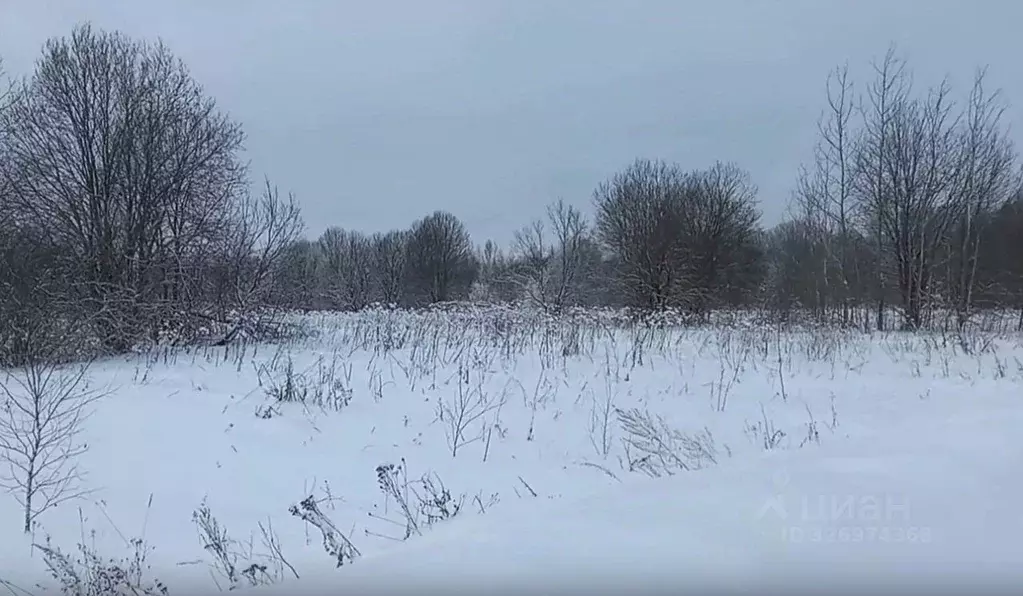 Участок в Московская область, Дмитровский муниципальный округ, д. ... - Фото 2