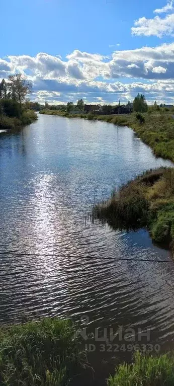 Дом в Вологодская область, д. Дудинское  (30 м) - Фото 2