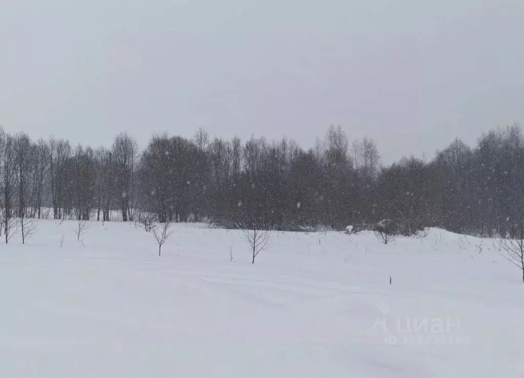Участок в Московская область, Рузский муниципальный округ, д. Мытники  ... - Фото 1