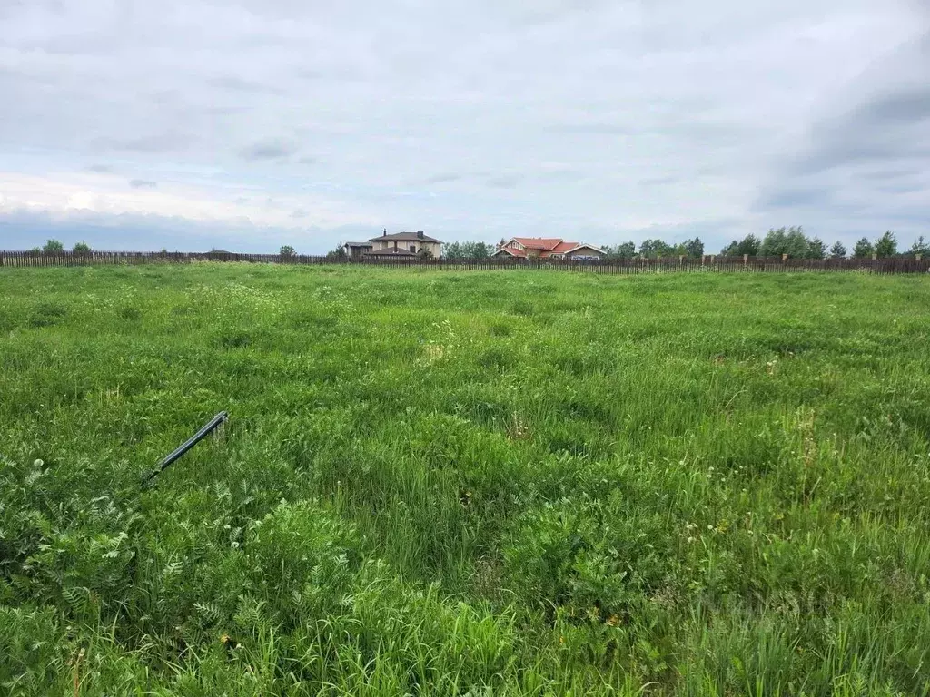 Участок в Тверская область, Конаковский муниципальный округ, д. ... - Фото 2