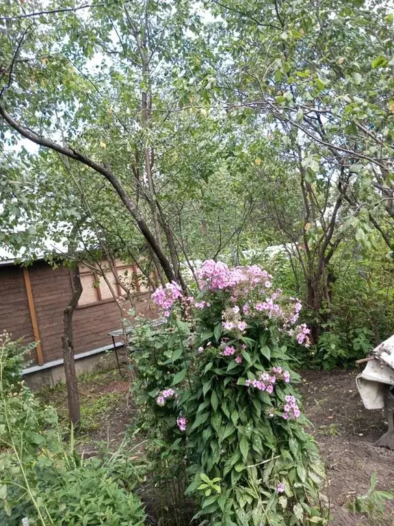 Участок в Московская область, Балашиха Щитниково кв-л, вл3 (5.0 сот.) - Фото 0