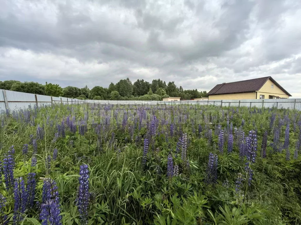 Участок в Смоленская область, Смоленский муниципальный округ, Щеченки ... - Фото 2