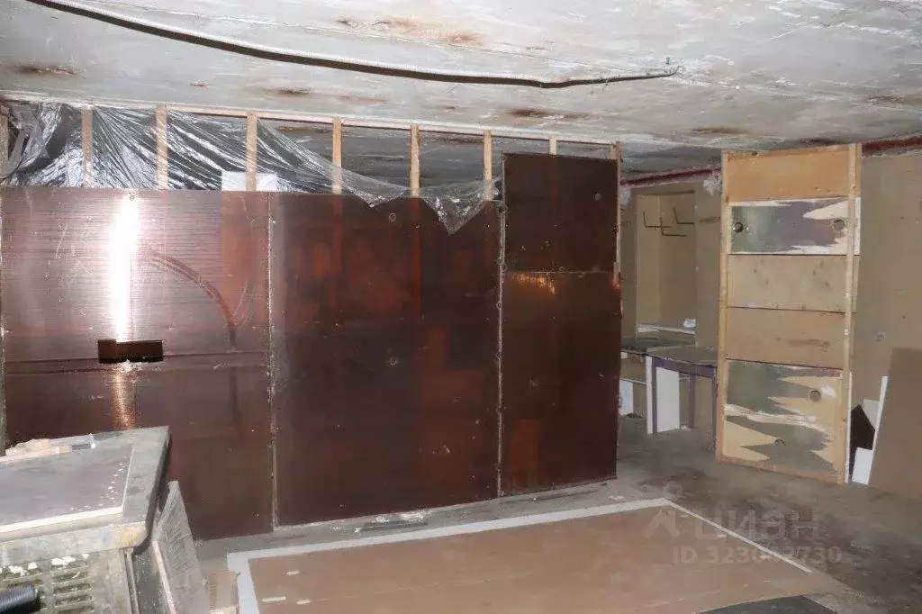 Помещение свободного назначения в Воронежская область, Воронеж ул. 9 ... - Фото 2