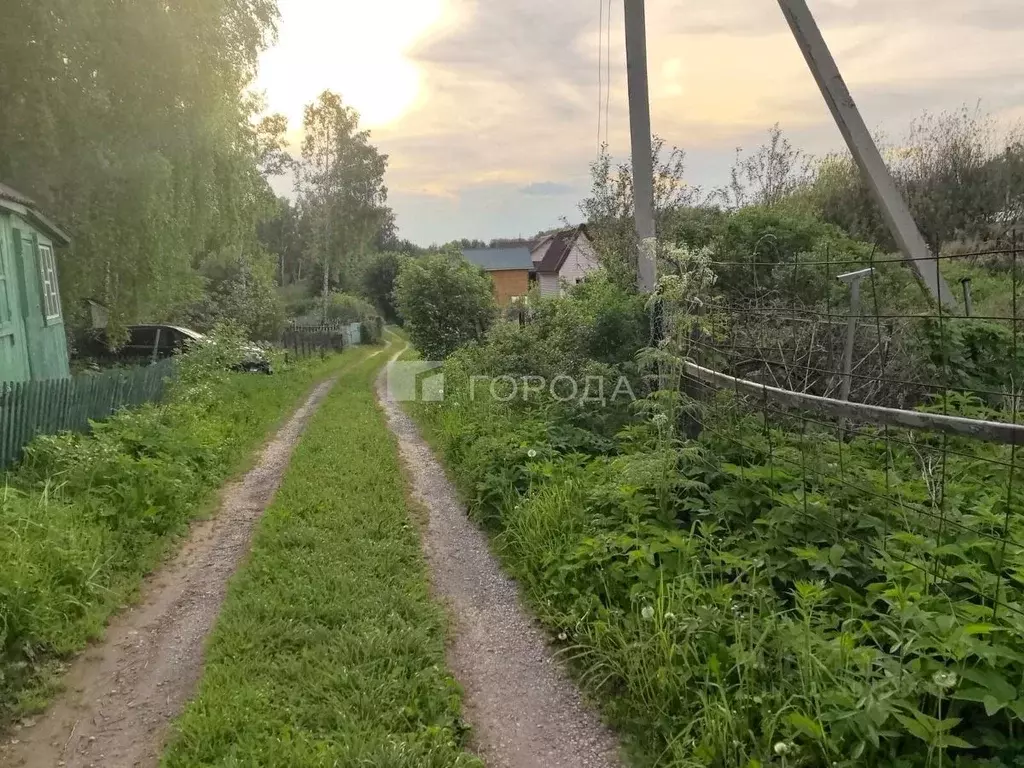 Участок в Новосибирская область, Новосибирский район, Барышевский ... - Фото 1