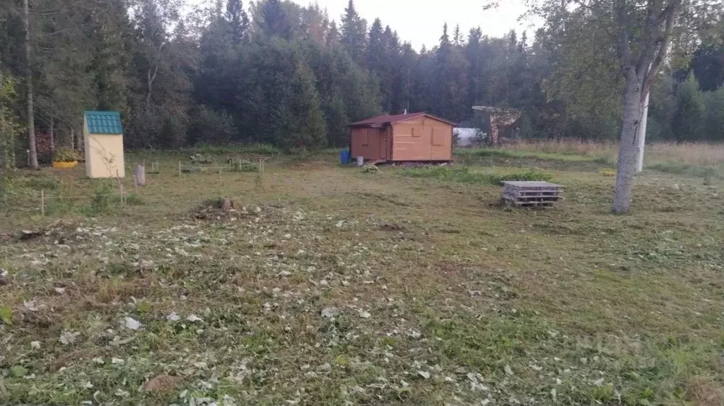 Участок в Ленинградская область, Ломоносовский район, Гостилицкое ... - Фото 1