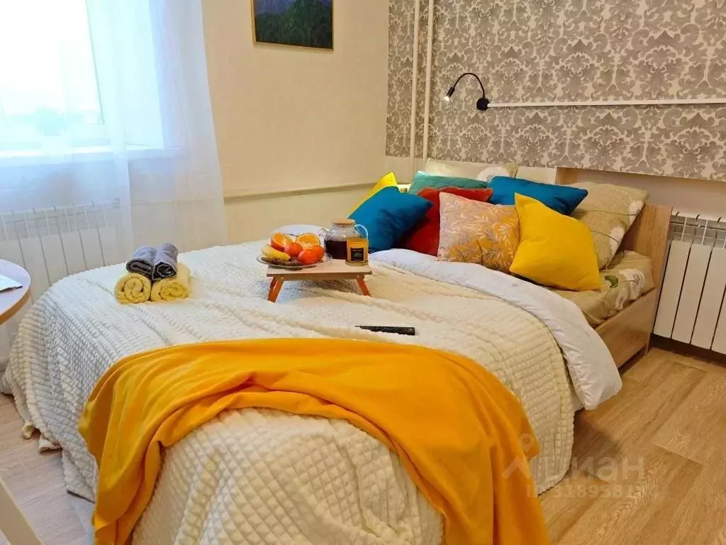1-к кв. Новосибирская область, Новосибирск ул. Фрунзе, 14 (18.0 м) - Фото 0