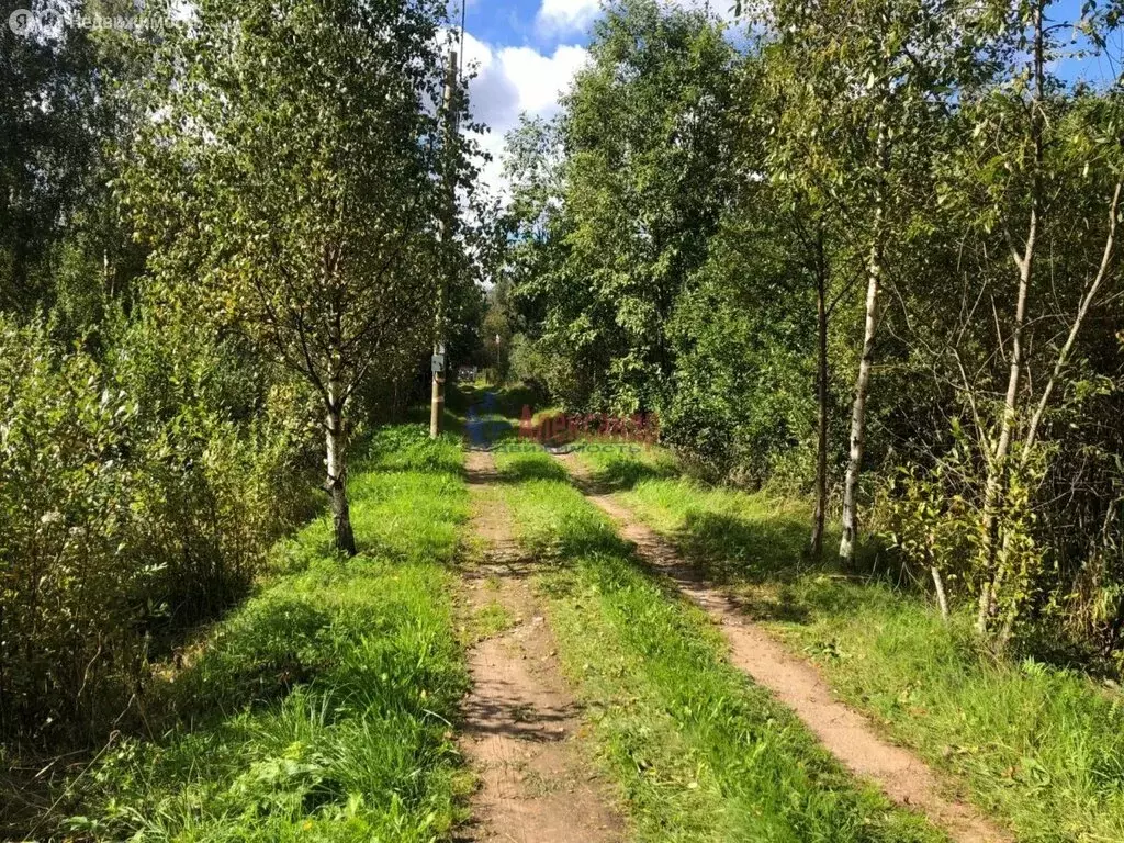 Участок в Приозерский район, Запорожское сельское поселение, посёлок ... - Фото 0