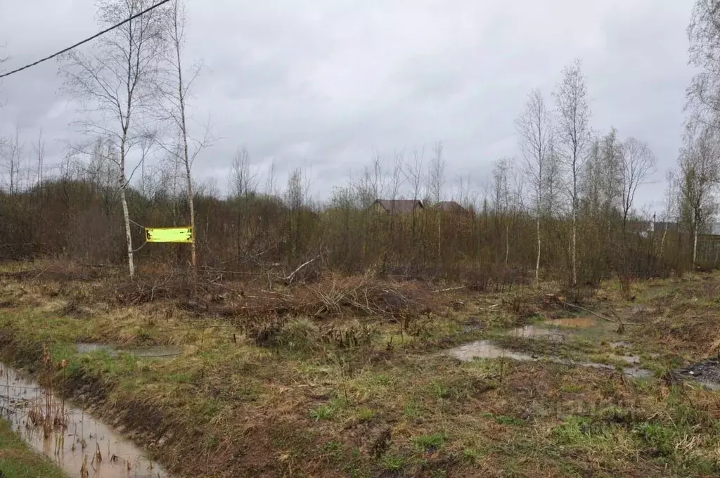 Участок в Новгородская область, Чудово ул. Рябиновая, 7 (16.4 сот.) - Фото 0