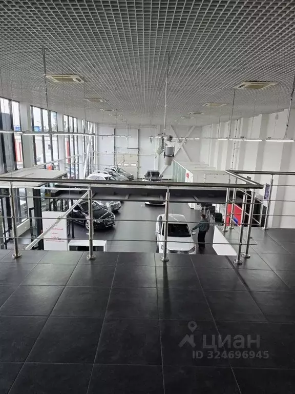 Помещение свободного назначения в Ленинградская область, Кудрово г. ... - Фото 1