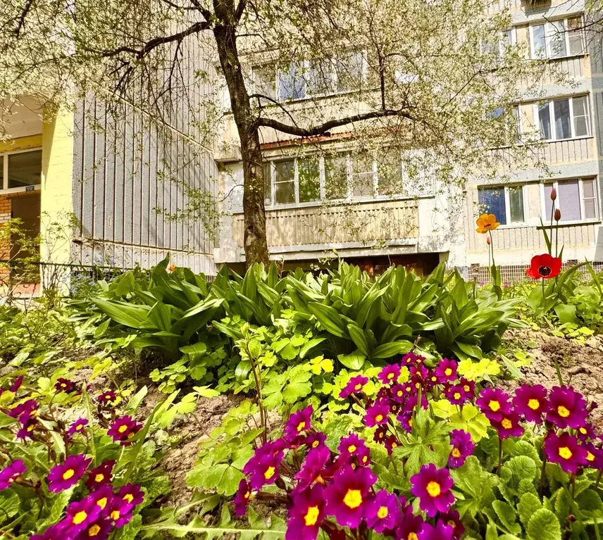 1-к кв. Московская область, Одинцово бул. Маршала Крылова, 8 (34.0 м) - Фото 1