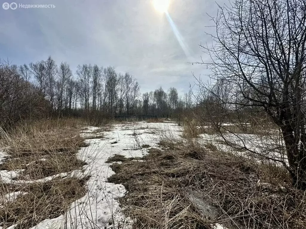 Участок в село Никольское, 1-я Восточная улица (35 м) - Фото 1