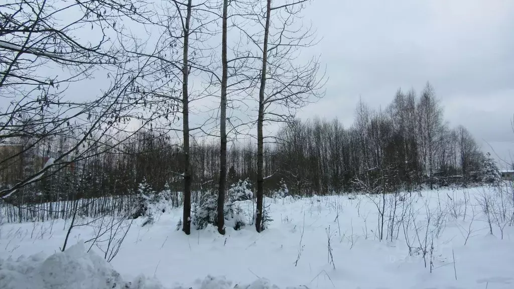 Участок в Московская область, Рузский муниципальный округ, с. ... - Фото 0