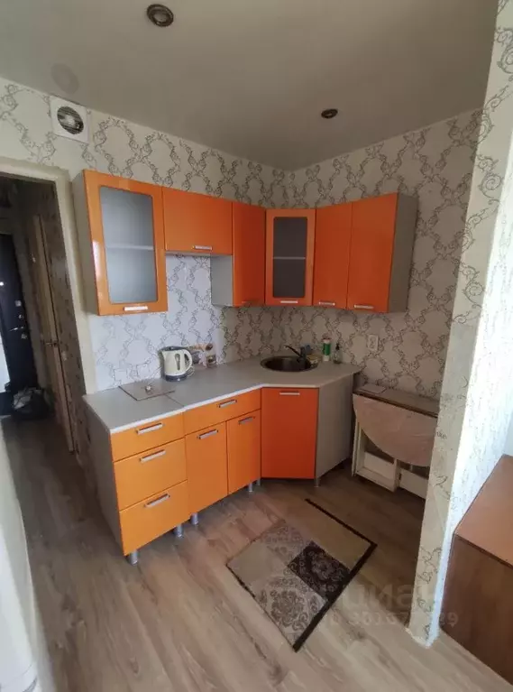 Студия Ленинградская область, Никольское Тосненский район, ... - Фото 0