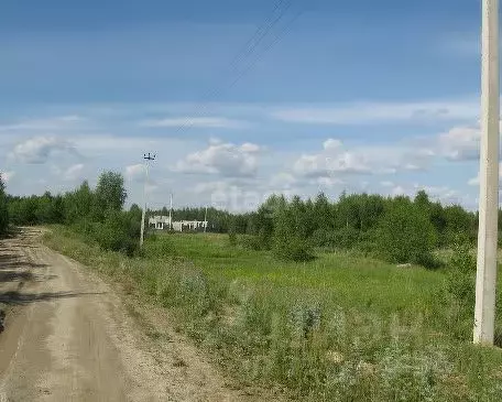 Участок в Свердловская область, Белоярский муниципальный округ, пос. ... - Фото 1