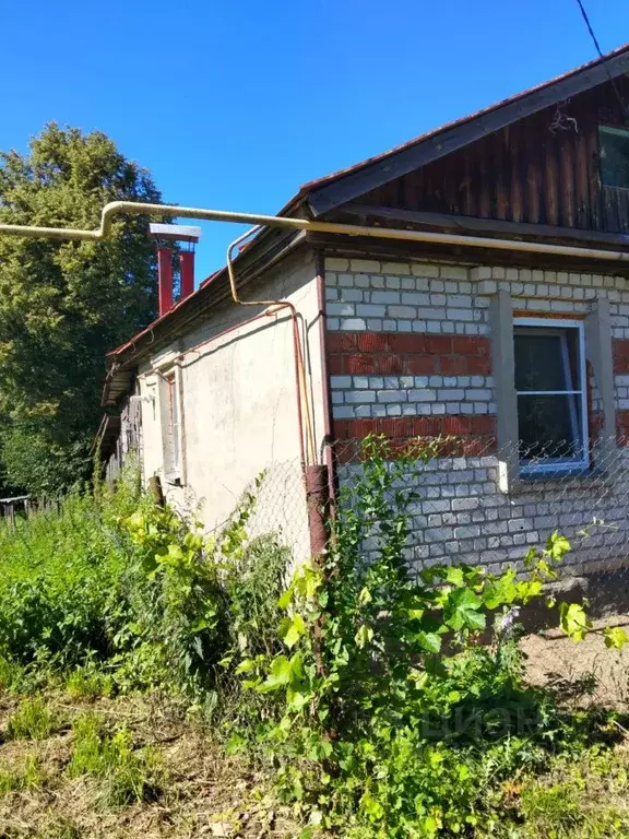 Дом в Нижегородская область, Нижний Новгород городской округ, с. ... - Фото 2
