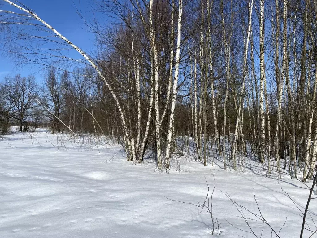 Участок в Московская область, Истра ул. Ленина, Река Истра (5.06 сот.) - Фото 2