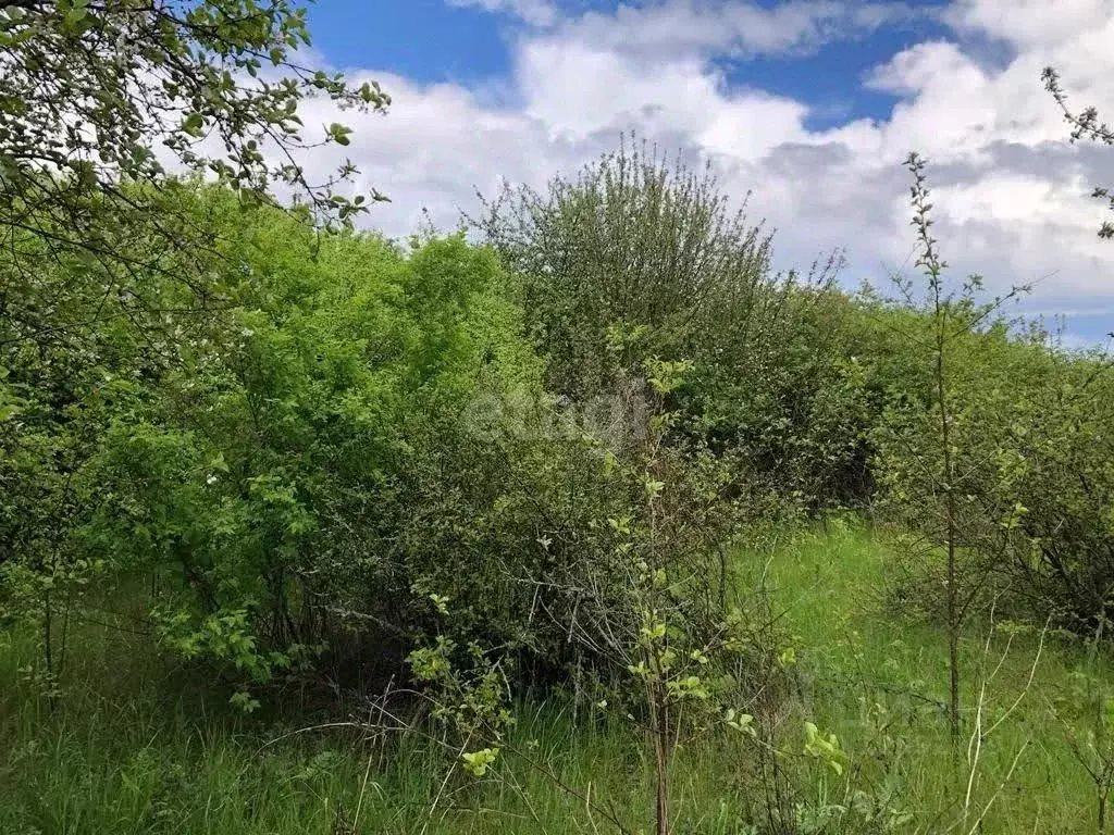 Участок в Тамбовская область, Тамбов городской округ, с. Бокино ул. ... - Фото 0