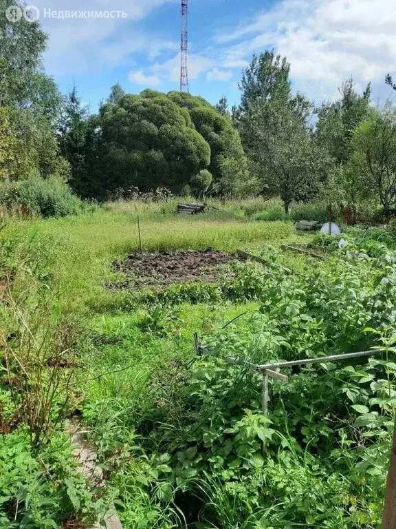 Участок в Новгородская область, Маловишерский муниципальный округ, ... - Фото 2